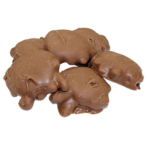 choco モールベア Zachary Chocolate Caramel Pecan Clusters 3 lb. Bulk Bag - All City