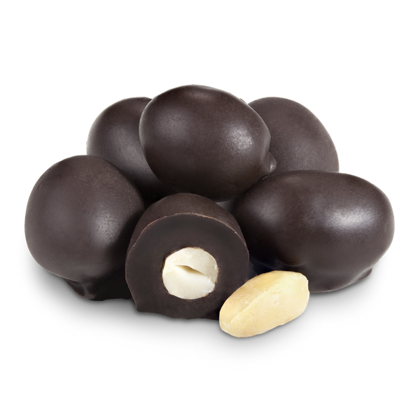 Chocolate Covered Peanuts - 1lb Bag - Bulk Sizes Available