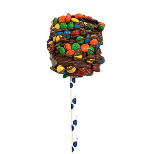 All City Candy Gourmet Milk Chocolate & Candy Coated Jumbo Marshmallow Pop Pretzalicious All City Candy M&M's For fresh candy and great service, visit www.allcitycandy.com