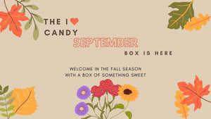 All City Candy Monthly Subscription Box - September