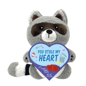 Raccoon Valentine's Plush with Gummy 1 oz. Box - Visit www.allcitycandy.com for great candy, service and delicious treats!