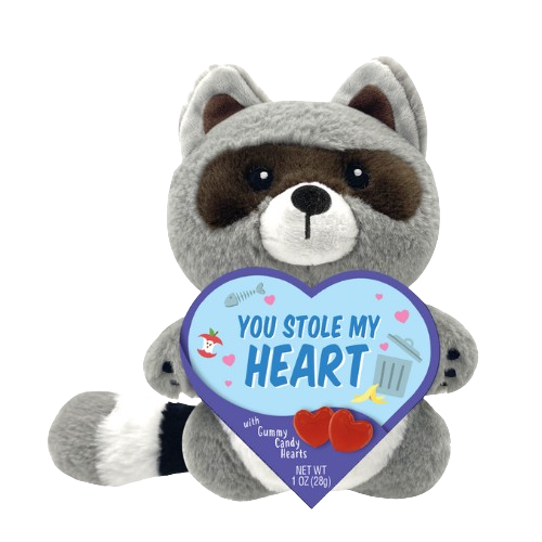 Raccoon Valentine's Plush with Gummy 1 oz. Box - Visit www.allcitycandy.com for great candy, service and delicious treats!