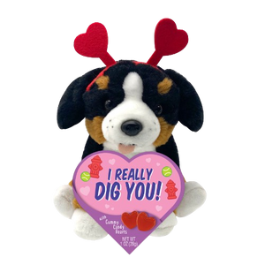 Mountain Dog Valentine's Plush with Gummy 1 oz. Box - Visit www.allcitycandy.com for great candy, service and delicious treats!