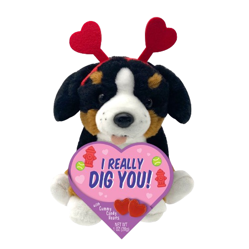 Mountain Dog Valentine's Plush with Gummy 1 oz. Box - Visit www.allcitycandy.com for great candy, service and delicious treats!