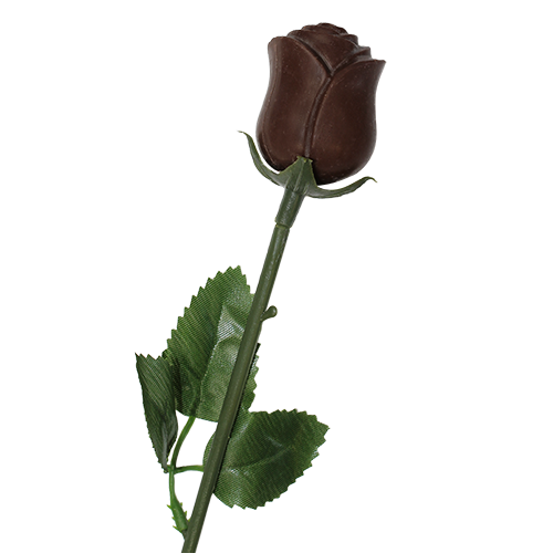 Albert's Belgian Milk Chocolate Foiled Roses - shop allcitycandycom