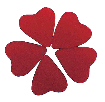 Variant-Image