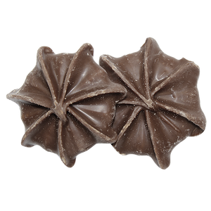 Blommers Milk Chocolate Stars Bulk Bags - Visit www.allcitycandy.com for great candy, service and delicious treats.