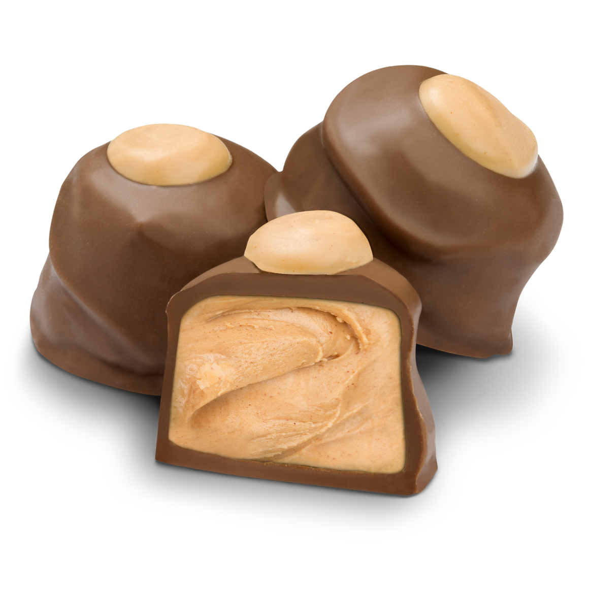 All City Candy Milk Chocolate Peanut Butter Buckeyes - 1 LB Box Chocolate Albanese Confectionery For fresh candy and great service, visit www.allcitycandy.com