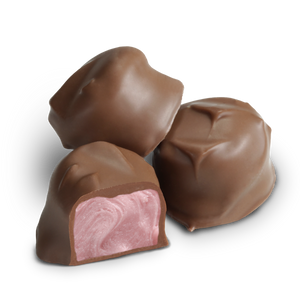 All City Candy Milk Chocolate Raspberry Creams 1 lb. Box Chocolate Albanese Confectionery For fresh candy and great service, visit www.allcitycandy.com