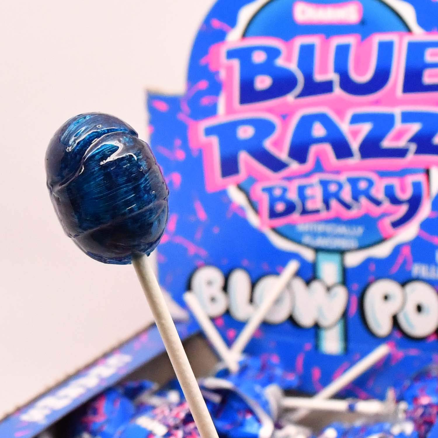 Charms Blue Razz Berry Blow Pop Lollipops - All City Candy
