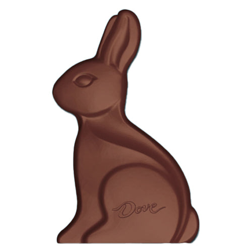 All City Candy Dove Solid Milk Chocolate Bunny 4.5 oz Mars Chocolate For fresh candy and great service, visit www.allcitycandy.com