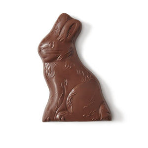 Hershey's Solid Milk Chocolate Bunny - 4.25-oz.