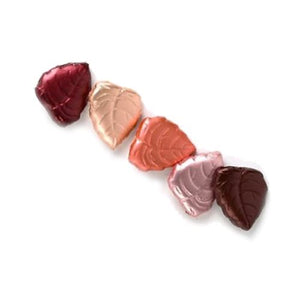 All City Candy Foiled Solid Dark Chocolate Fall Leaves Bulk Bags Bulk Wrapped Madelaine Chocolate Company For fresh candy and great service, visit www.allcitycandy.com