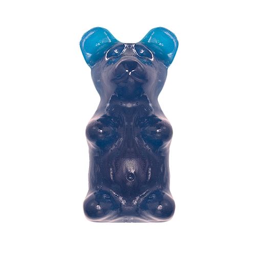 https://allcitycandy.com/cdn/shop/products/all-city-candy-giant-blue-raspberry-gummy-bear-gummi-giant-gummy-bears-509927_2048x.jpg?v=1557257308