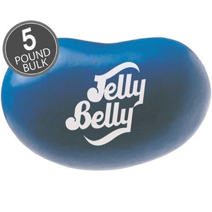 All City Candy Jelly Belly Blueberry Jelly Beans Bulk Bags Bulk Unwrapped Jelly Belly 5 LB For fresh candy and great service, visit www.allcitycandy.com