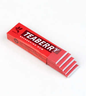 All City Candy Teaberry Chewing Gum 1 Pack Gerrit J. Verburg Candy For fresh candy and great service, visit www.allcitycandy.com